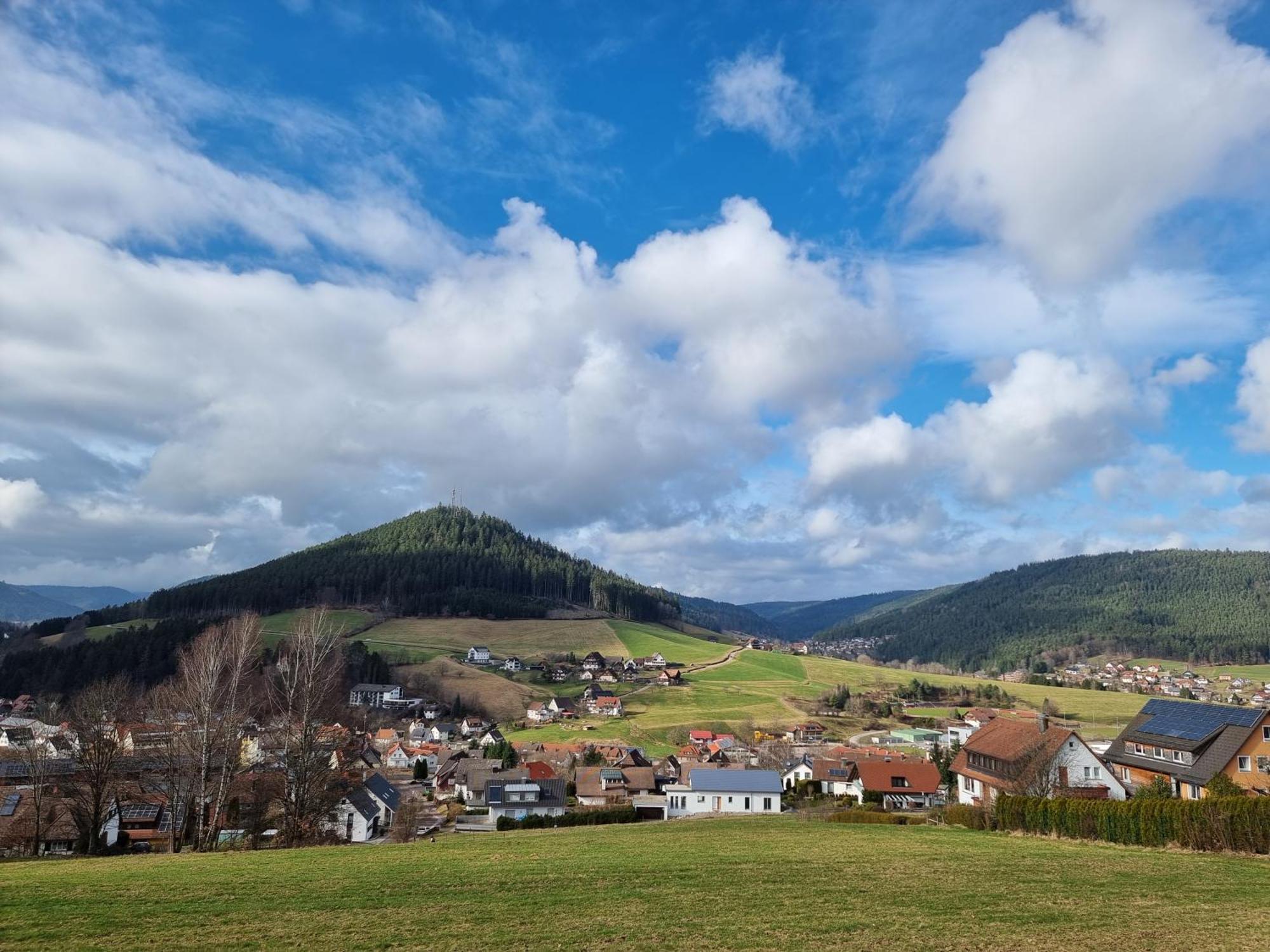 Fewo Mit Pool In Baiersbronn Bagian luar foto