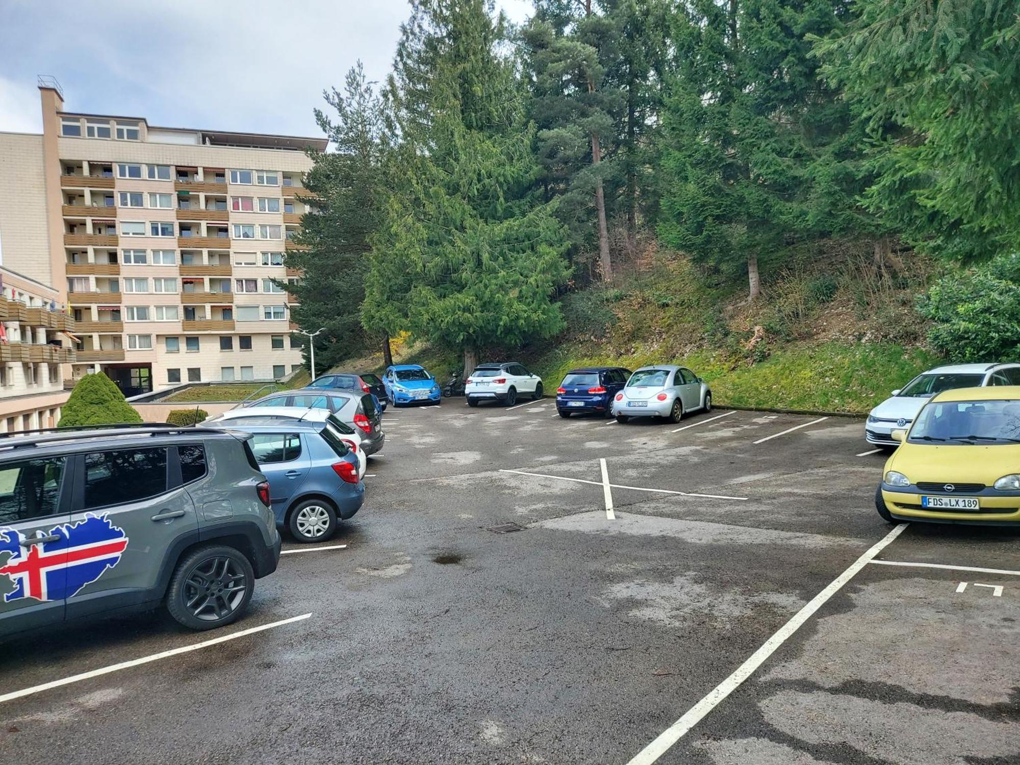 Fewo Mit Pool In Baiersbronn Bagian luar foto