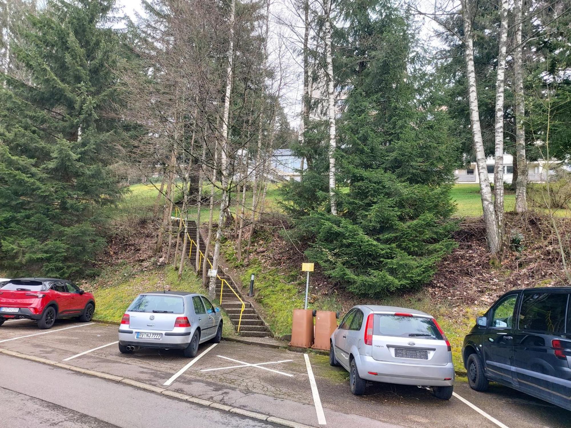 Fewo Mit Pool In Baiersbronn Bagian luar foto