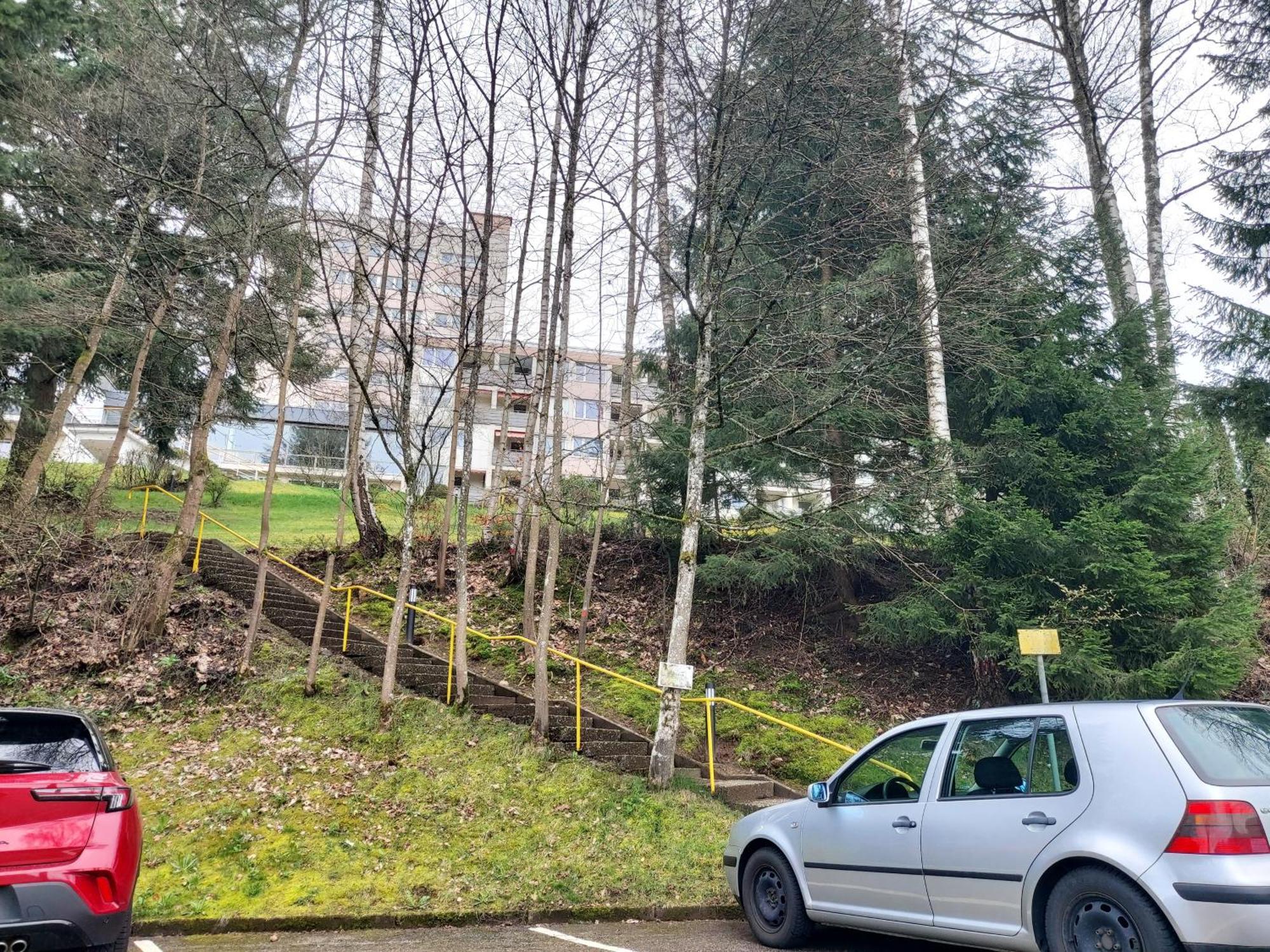 Fewo Mit Pool In Baiersbronn Bagian luar foto